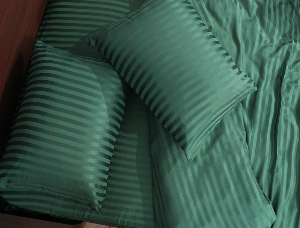 Евро набор постельного белья 200*220 из микрофибры в полоску №202010 Черешенка™