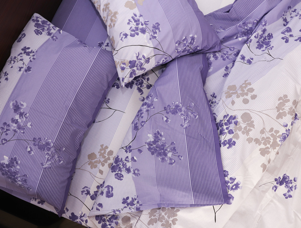 Євро-максі набір постільної білизни 200*220 із Бязі "Gold" №157064 Черешенка™