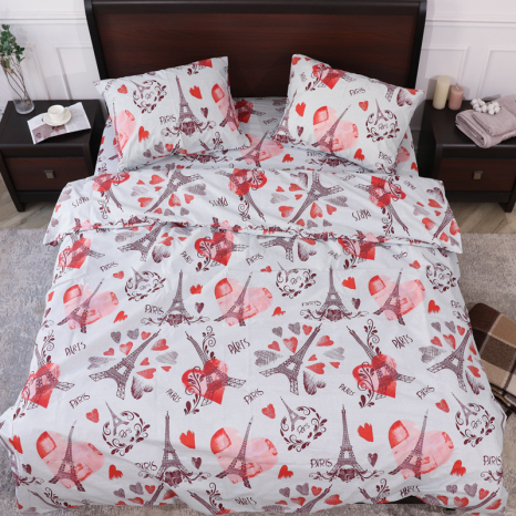 Двоспальний набір постільної білизни 180*220 із Бязі "Gold" №153636 Черешенка™