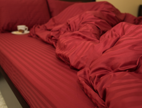 Сімейний набір постільної білизни зі Страйп Сатину №541758 KRISPOL™