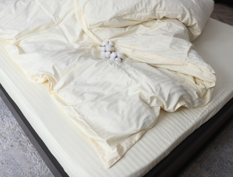 Евро макси набор постельного белья 200*220 из Страйп Сатина №11-0507 Черешенка™