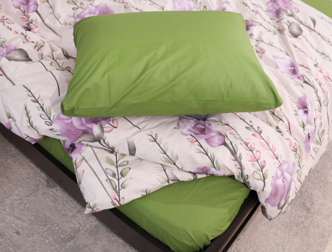 Євро-максі набір постільної білизни 200*220 із Бязі "Gold" №158196AB Черешенка™