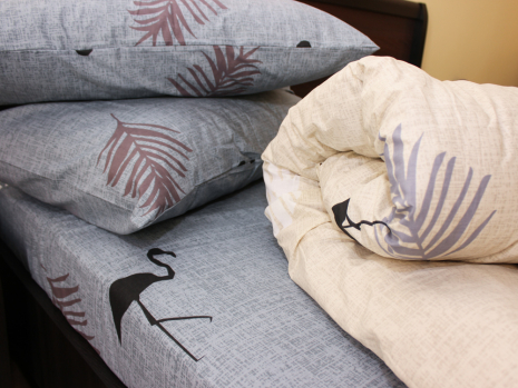 Євро-максі набір постільної білизни 200*220 із Бязі "Gold" №154151AB Черешенка™