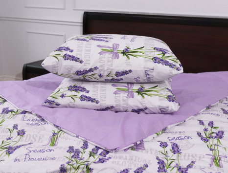 Євро-максі набір постільної білизни 200*220 із Бязі "Gold" №158382АВ Черешенка™