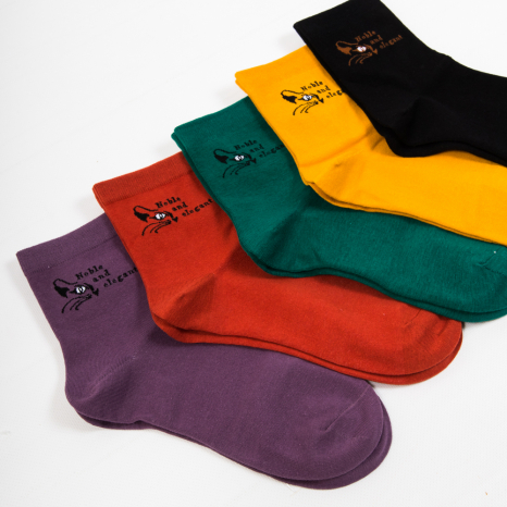 Жіночі шкарпетки Nicen (10 пар) 37-41 №A056-1