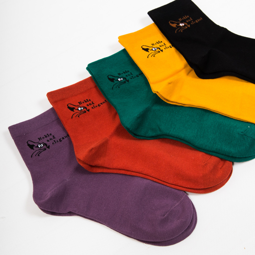 Жіночі шкарпетки Nicen (10 пар) 37-41 №A056-1