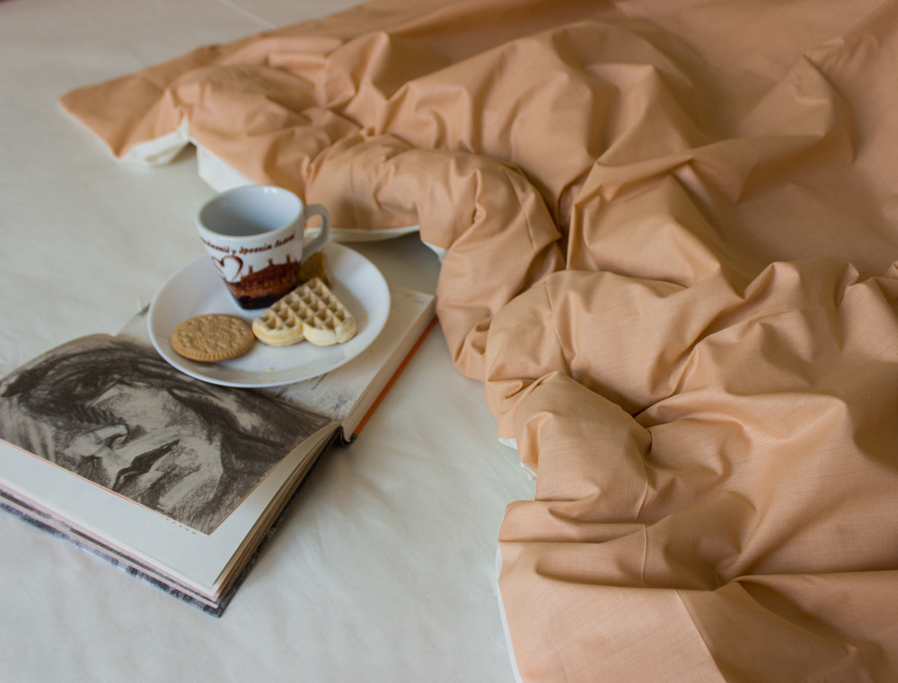 Євро-максі набір однотонної постільної білизни 200*220 із Бязі "Gold" №15759AB Черешенька™