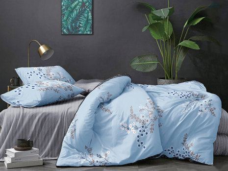 Євро-максі набір постільної білизни 200*220 із Бязі "Gold" №154730AB Черешенка™