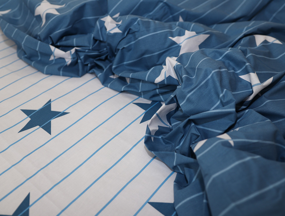 Євро-максі набір постільної білизни 200*220 із Бязі "Gold" №154068AB Черешенка™