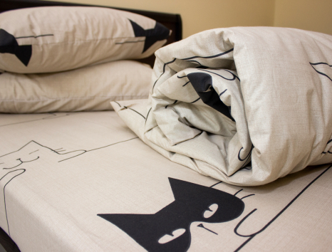 Сімейний набір постільної білизни із Ранфорсу №182116 Черешенка™