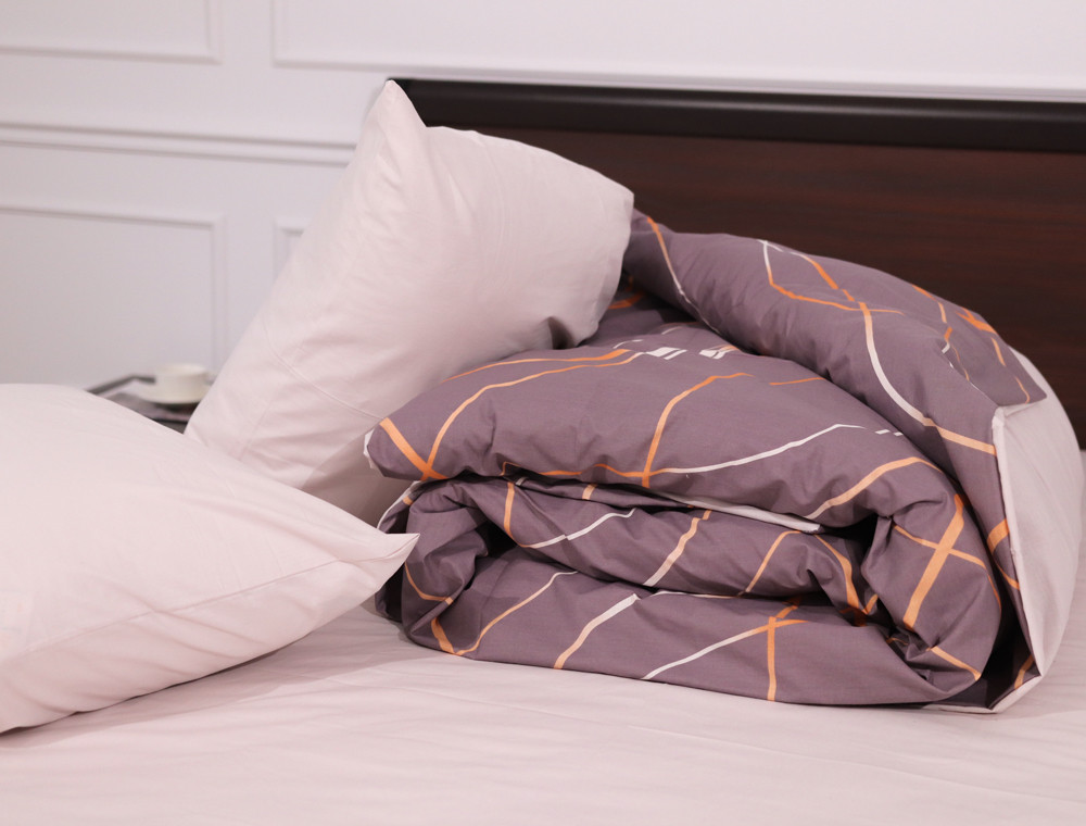 Евро макси набор постельного белья 200*220 из Бязи "Gold" №158191AB Черешенка™