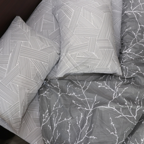 Євро-максі набір постільної білизни 200*220 із Бязі "Gold" №151922AB Черешенка™