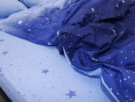 Євро-максі набір постільної білизни 200*220 із Бязі "Gold" №154096AB Черешенка™