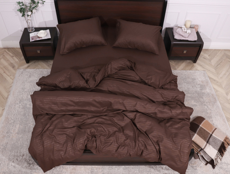 Євро набір постільної білизни 200*220 із мікрофібри коричнева смужка №201218 Черешенка™