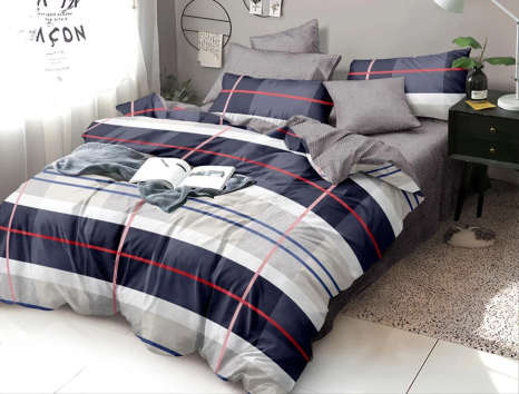 Євро-максі набір постільної білизни 200*220 із Бязі "Gold" №157849 Черешенка™