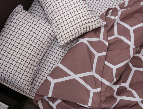 Євро-максі набір постільної білизни 200*220 із Бязі "Gold" №157897AB Черешенка™