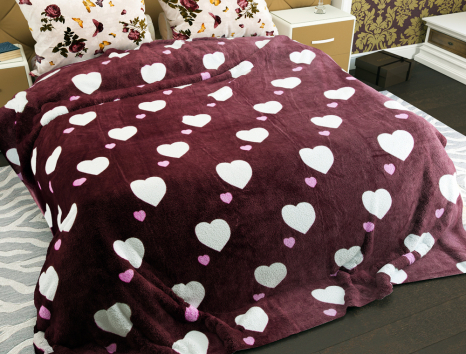 Полуторний флісовий плед №33610