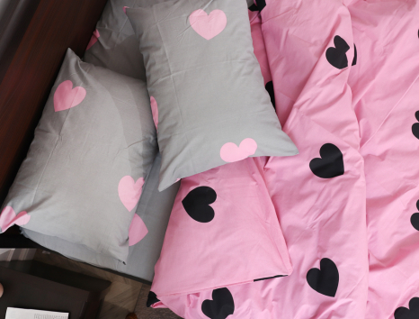 Євро-максі набір постільної білизни 200*220 із Бязі "Gold" №157465AB Черешенка™