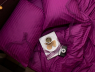 Семейный набор хлопкового постельного белья из Страйп Сатина №542929 KRISPOL™