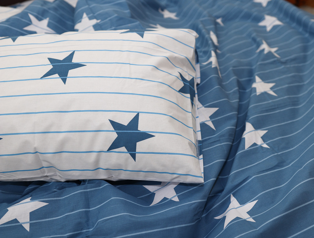 Євро-максі набір постільної білизни 200*220 із Бязі "Gold" №154068AB Черешенка™