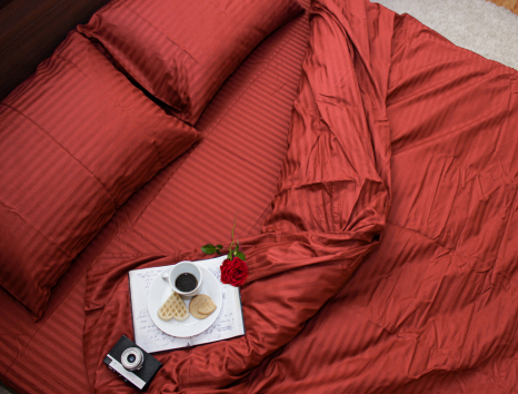 Євро-максі набір постільної білизни 200*220 зі Страйп Сатину №541758 KRISPOL™