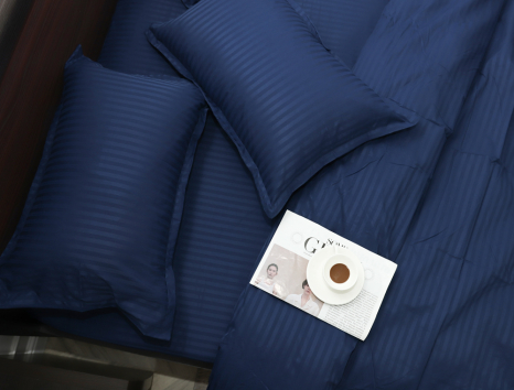 Евро макси набор постельного белья 200*230 из Страйп Сатина D-016