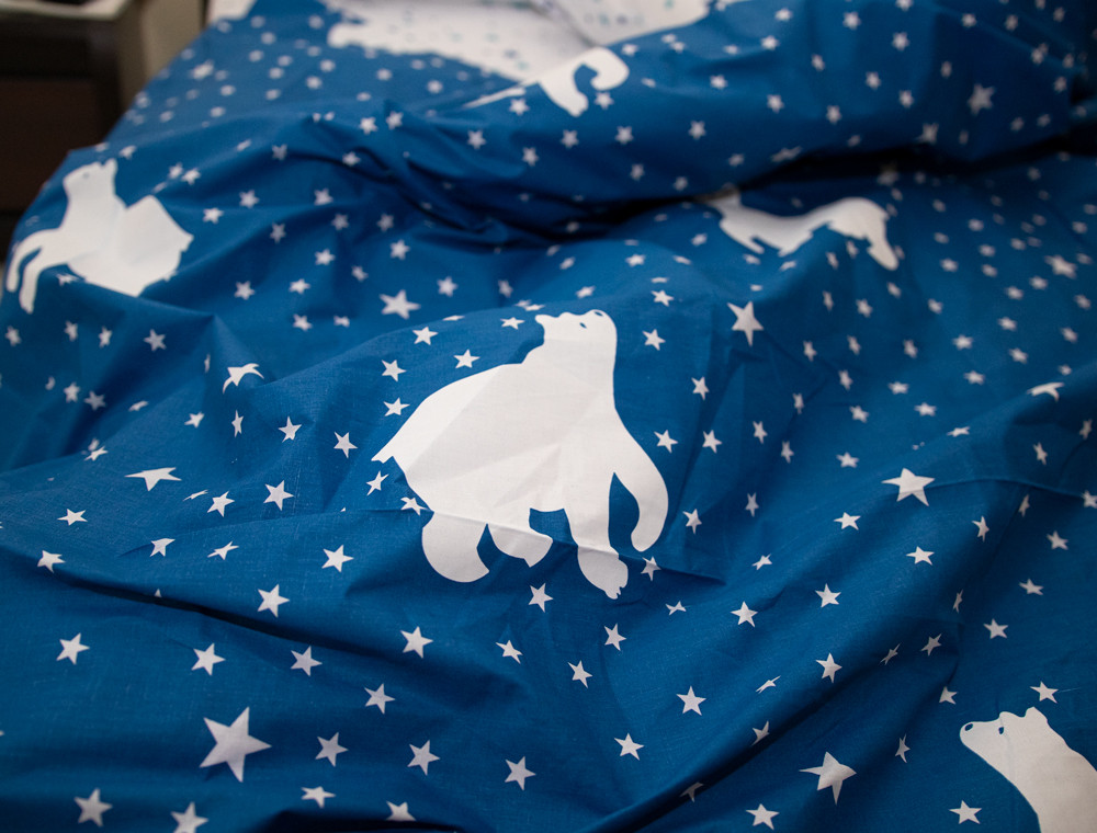 Евро макси набор постельного белья 200*220 из Бязи "Gold" №151516AB Черешенка™