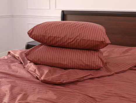 Двуспальный набор однотонного постельного белья 180*220 из Бязи "Gold" №153002 Черешенка™