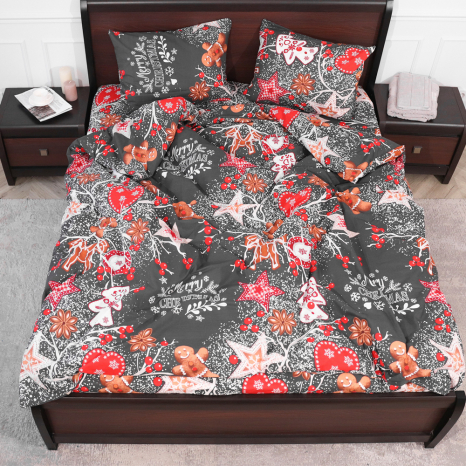 Евро макси набор постельного белья 200*220 из Бязи "Gold" №157972 Черешенка™