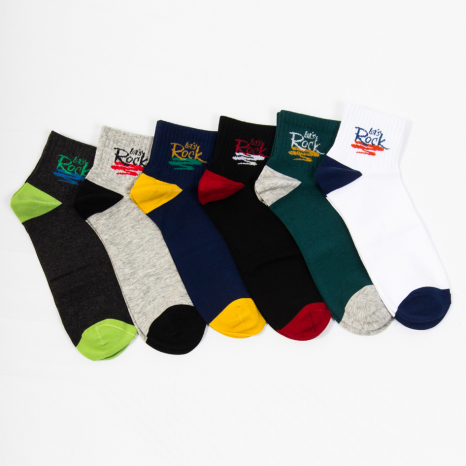 Чоловічі шкарпетки Nicen (10 пар) 41-47 №F554-22