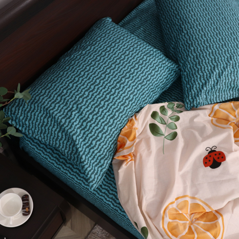 Євро-максі набір постільної білизни 200*220 із Бязі "Gold" №15369AB Черешенка™