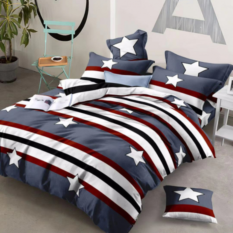 Євро-максі набір постільної білизни 200*220 із Бязі "Gold" №151252 Черешенка™