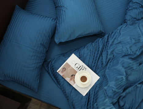 Євро-максі набір постільної білизни 200*220 зі Страйп Сатину №18-4032 Черешенка™