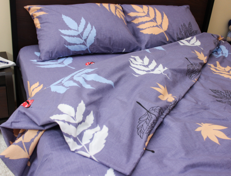 Полуторний набір постільної білизни 150*220 із Ранфорсу №182120 Черешенка™