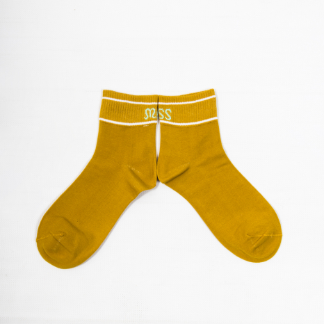 Жіночі шкарпетки Nicen (10 пар) 37-41 №A088-2