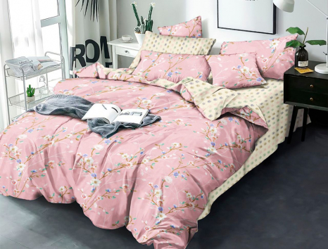 Євро-максі набір постільної білизни 200*220 із Бязі "Gold" №154426AB Черешенка™