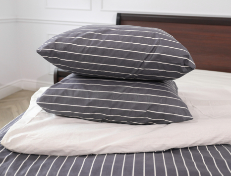 Євро-максі набір постільної білизни 200*220 із Бязі "Gold" №151210АВ Черешенька™