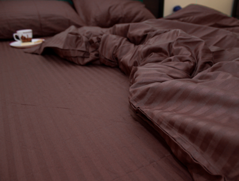 Двоспальний набір постільної білизни 180*220 зі Страйп Сатину №541420 KRISPOL™