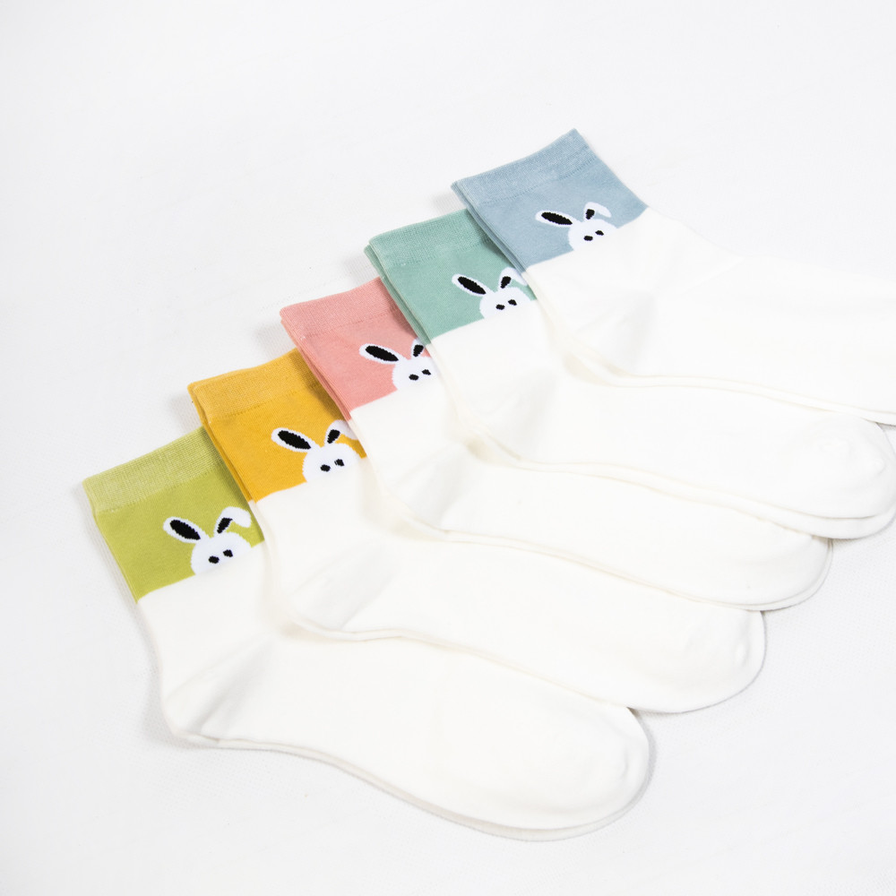 Жіночі шкарпетки Nicen (10 пар) 37-41 №A056-4