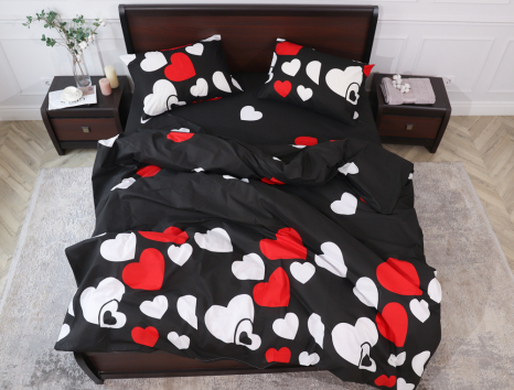 Євро-максі набір постільної білизни 200*220 із Бязі "Gold" №153587 Черешенка™