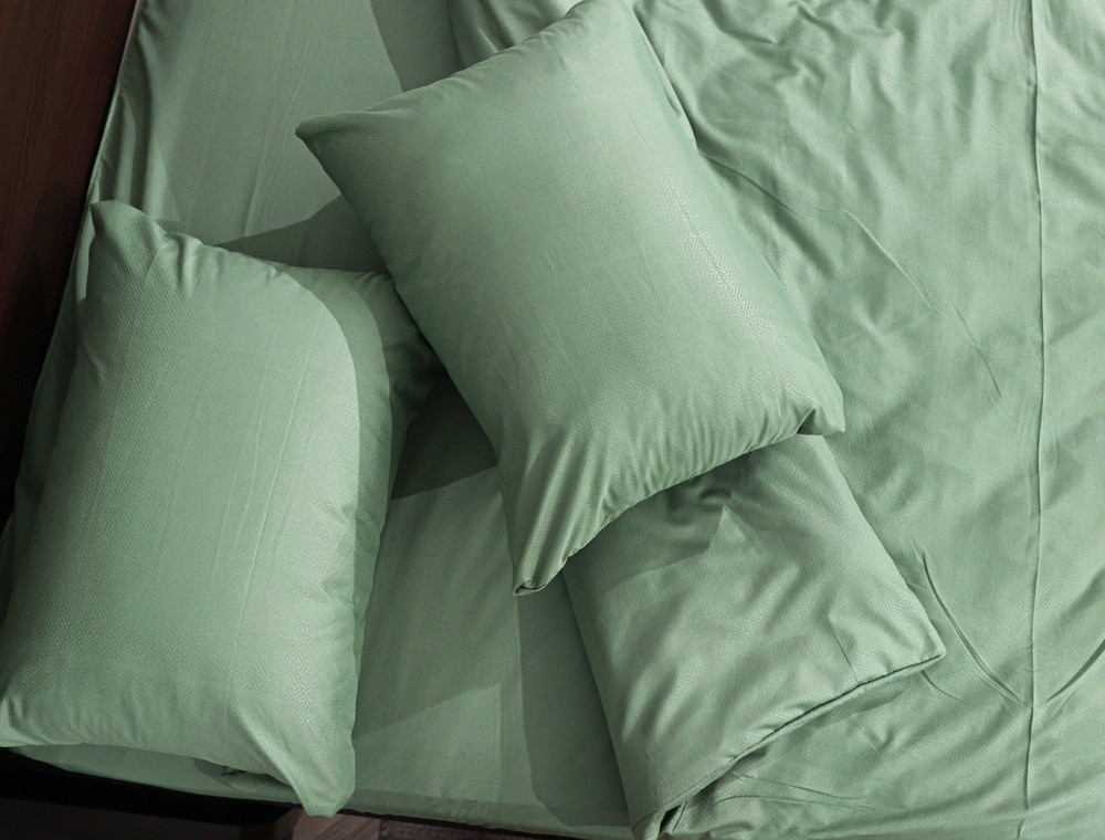 Евро набор постельного белья 200*220 из микрофибры №2017021 Черешенка™