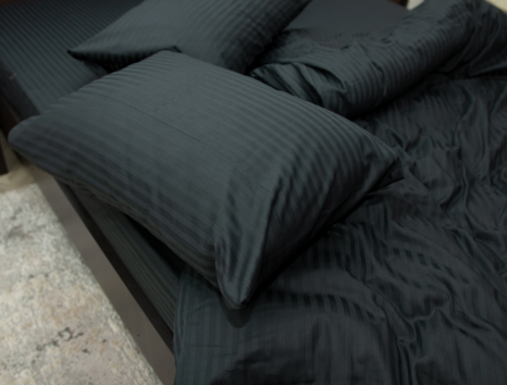 Євро-максі набір постільної білизни 200*220 зі Страйп Сатину №504305 Черешенка™