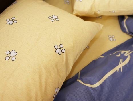 Євро-максі набір постільної білизни 200*220 із Бязі "Gold" №154213AB Черешенка™