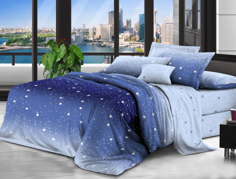 Євро-максі набір постільної білизни 200*220 із Бязі "Gold" №154096AB Черешенка™