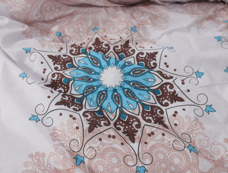 Євро-максі набір постільної білизни 200*220 із Бязі "Gold" №157303AB Черешенка™