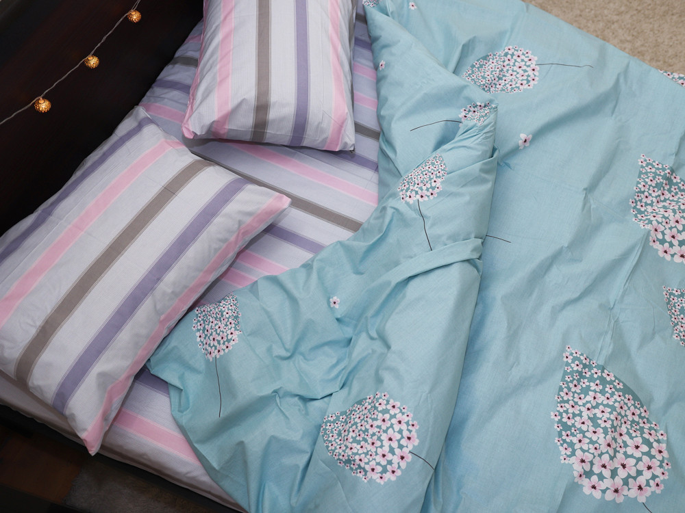 Евро макси набор постельного белья 200*220 из Бязи "Gold" №151339AB Черешенка™