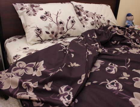 Євро-максі набір постільної білизни 200*220 із Ранфорсу №183176AB Черешенка™