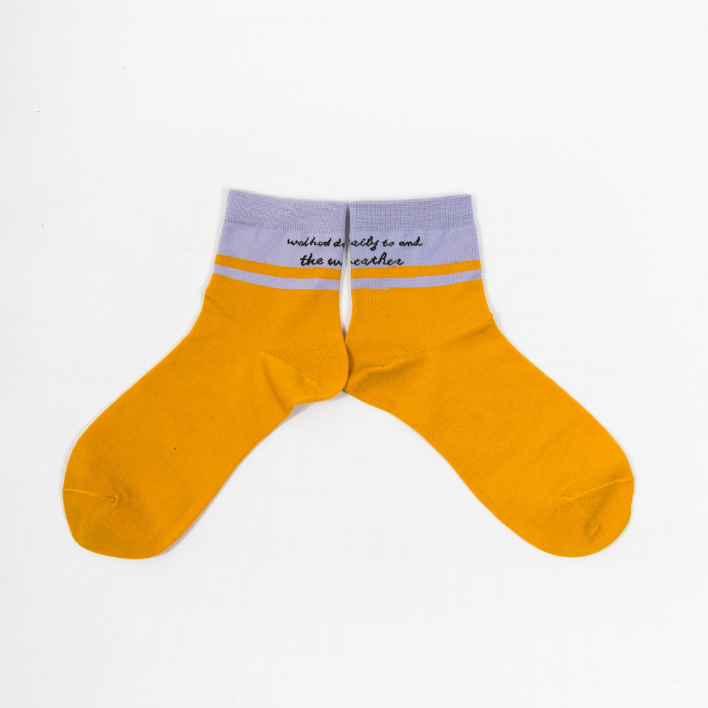 Жіночі шкарпетки Nicen (10 пар) 37-41 №A056-6