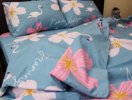 Євро-максі набір постільної білизни 200*220 із Бязі "Gold" №154109 Черешенка™