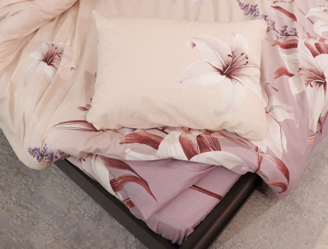 Евро макси набор постельного белья 200*220 из Бязи "Gold" №158268 Черешенка™